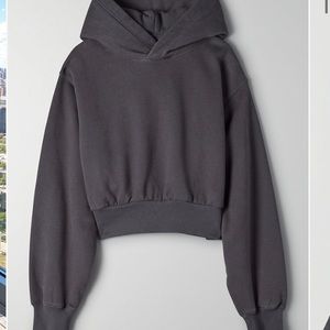 NWT Aritzia Perfect Shrunken Hoodie Sz S Periscope